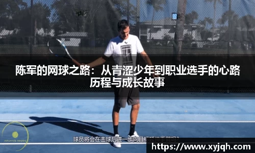 BV伟德官方网站