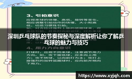 深圳乒乓球队的节奏探秘与深度解析让你了解乒乓球的魅力与技巧